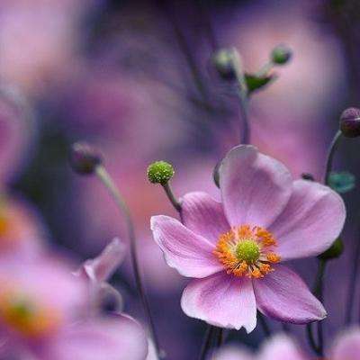 商务部：墨西哥相关涉华限制措施构成投资壁垒